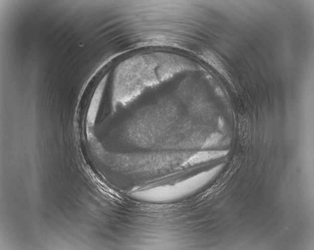 X0000067841068200605041643