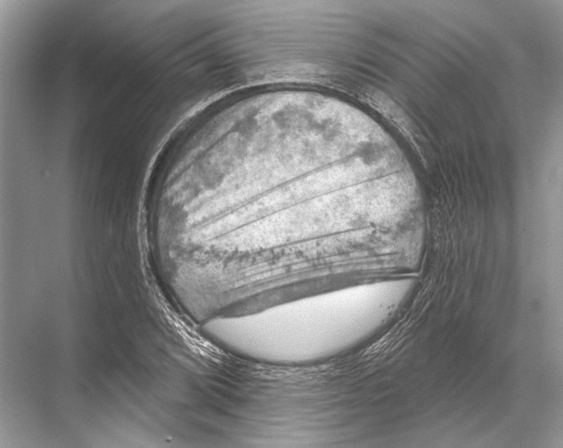 X0000067841072200605041643