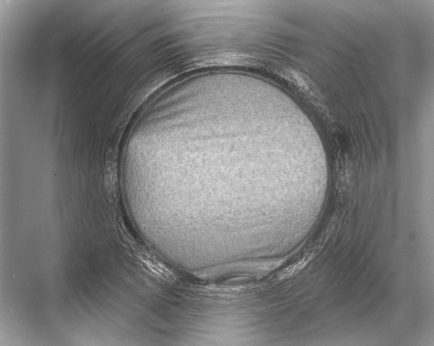 X0000067841073200605041643