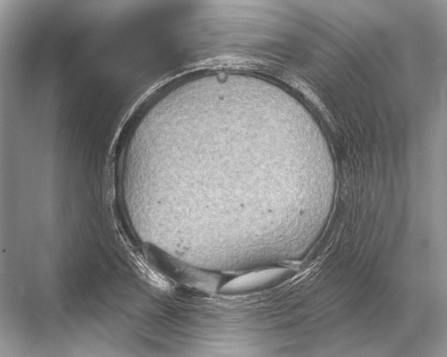 X0000067841075200605041643