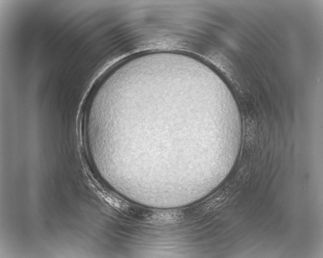 X0000067841078200605041643