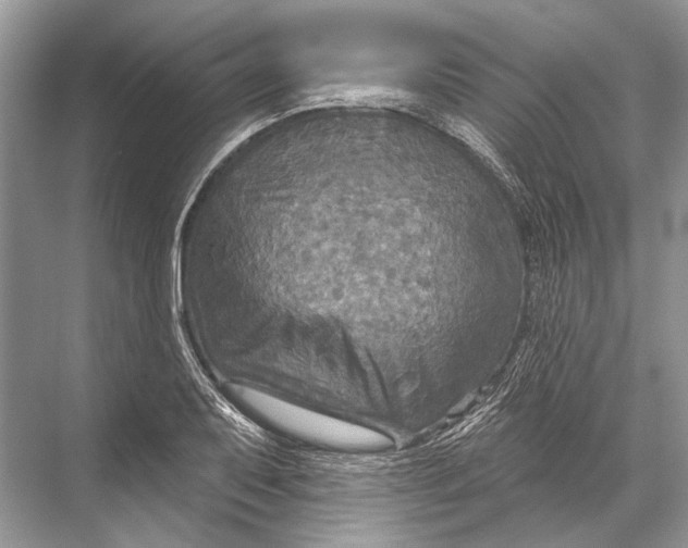 X0000067841079200605041643