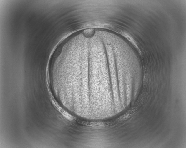 X0000067841080200605041643