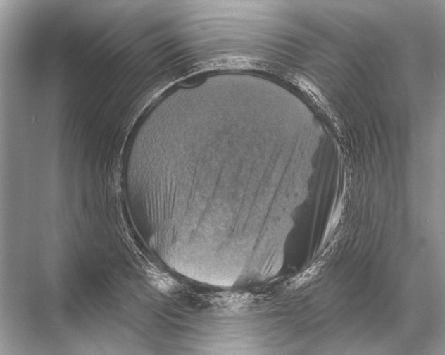 X0000067841081200605041643