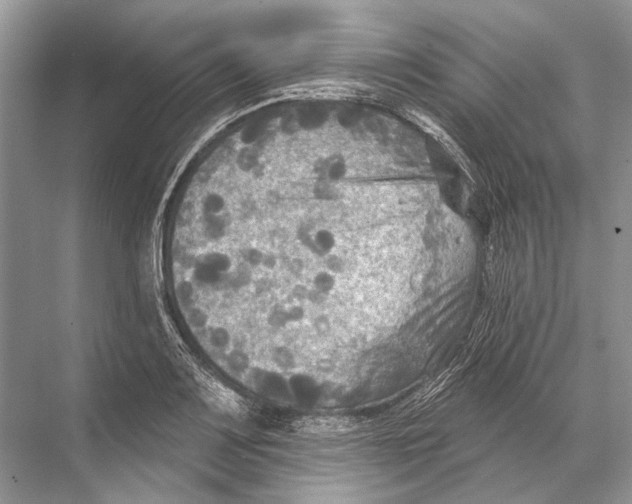 X0000067841083200605041643