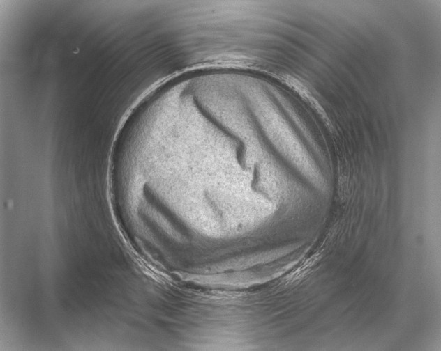 X0000067841085200605041643