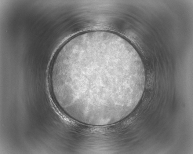 X0000067841086200605041643