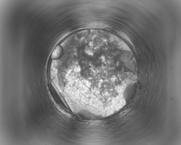 X0000067841087200605041643