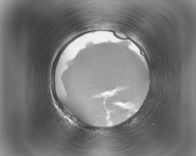 X0000067841088200605041643