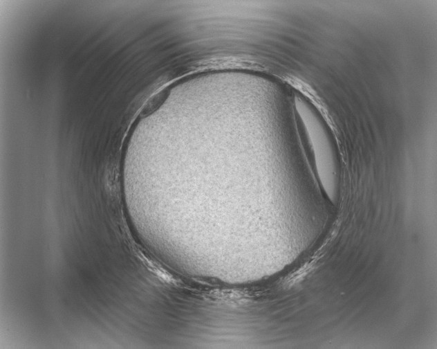 X0000067841089200605041643