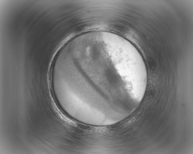 X0000067841090200605041643