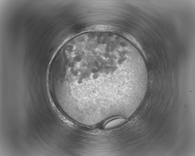 X0000067841091200605041643