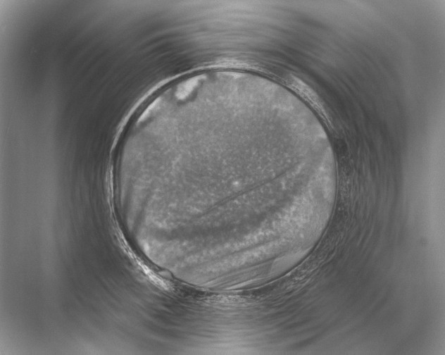 X0000067841092200605041643