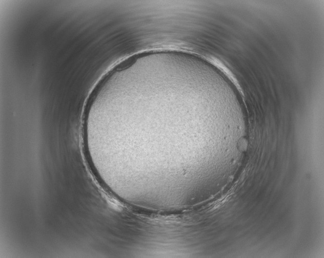 X0000067841093200605041643