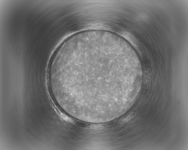 X0000067841094200605041643