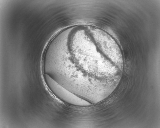 X0000067841096200605041643