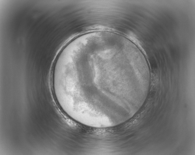 X0000067841098200605041643