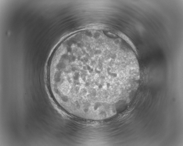 X0000067841099200605041643