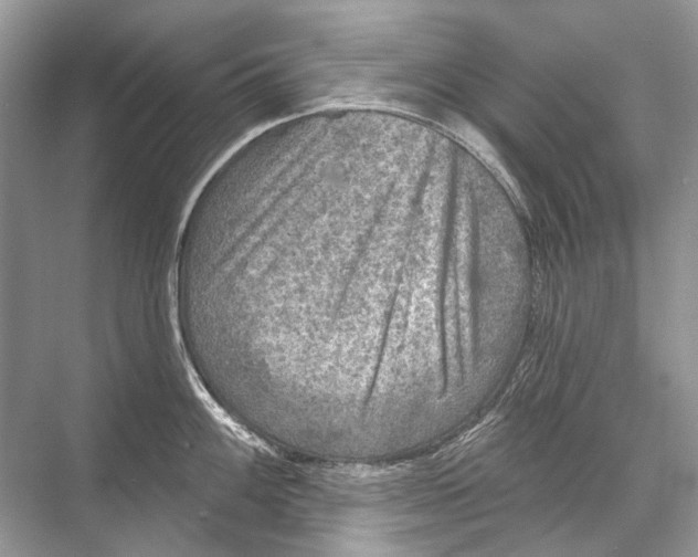 X0000067841100200605041643