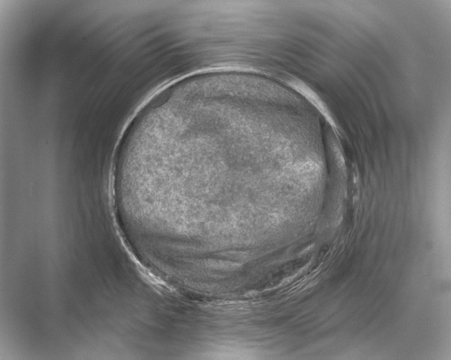 X0000067841101200605041643