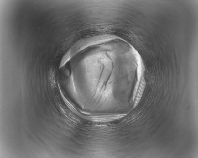 X0000067841106200605041642