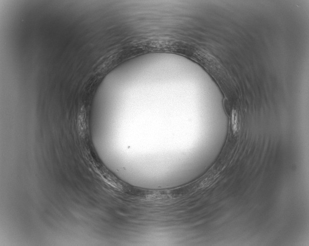 X0000067841107200605041642