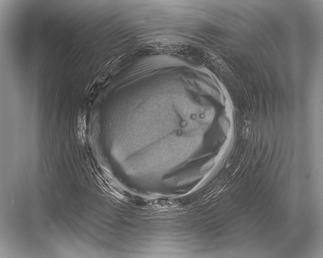 X0000067841108200605041642