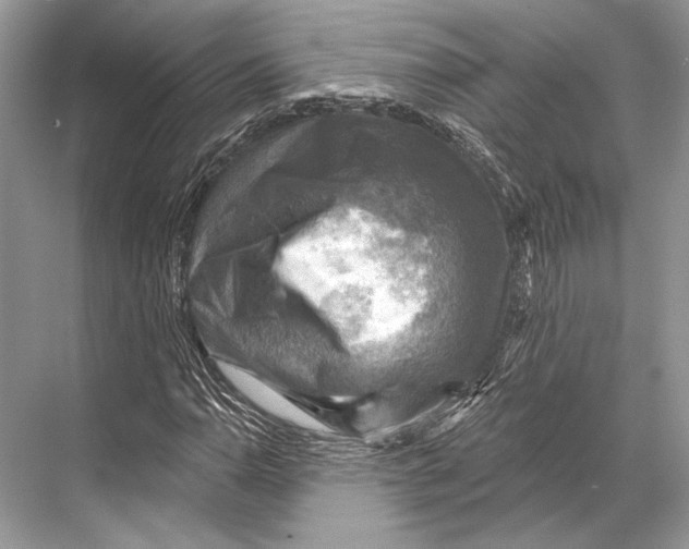 X0000067841110200605041642