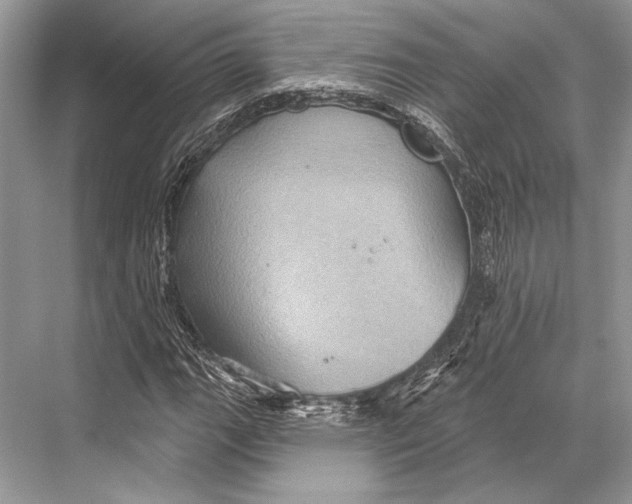 X0000067841111200605041642