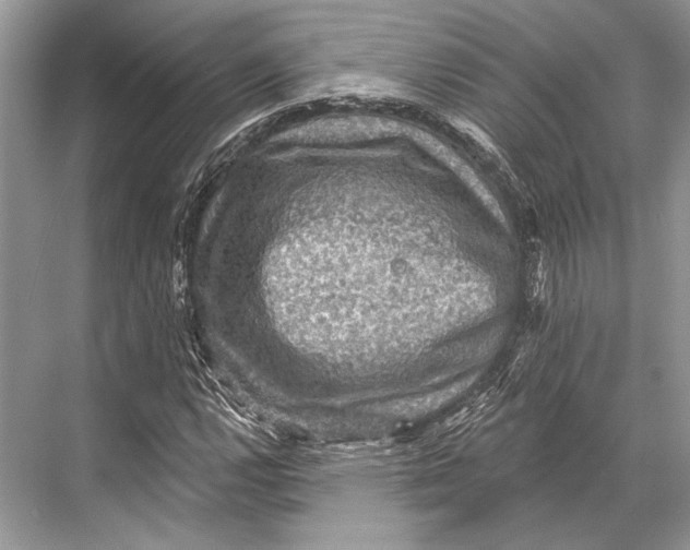 X0000067841112200605041642