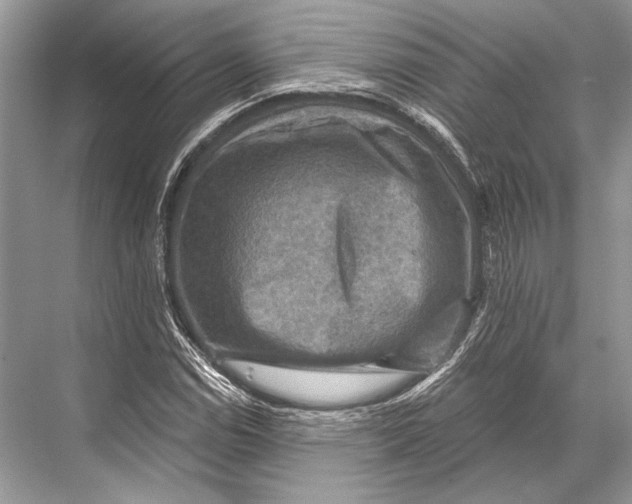 X0000067841114200605041642