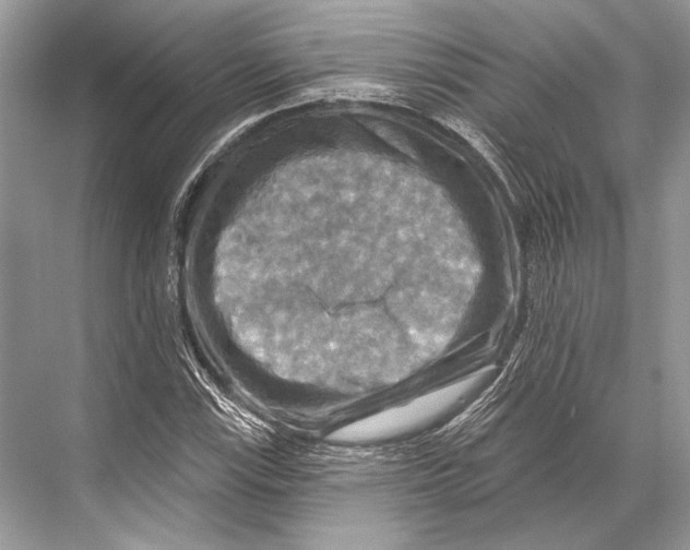 X0000067841115200605041642