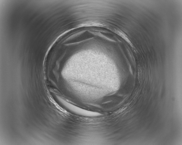 X0000067841116200605041642