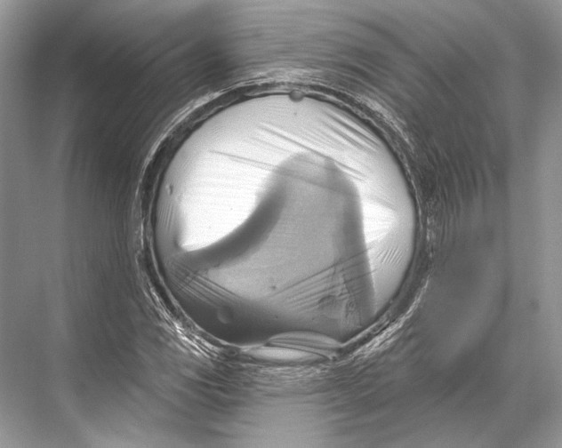 X0000067841117200605041642