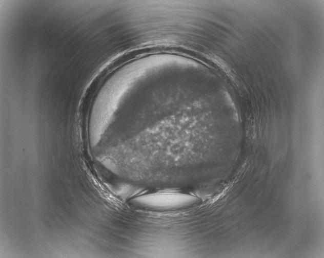 X0000067841118200605041642