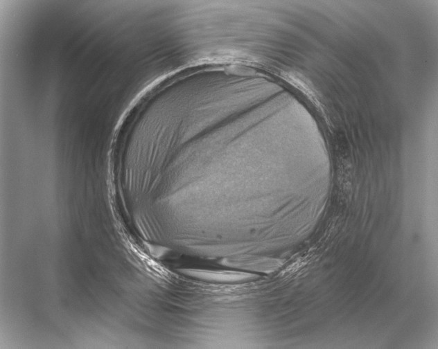 X0000067841120200605041642