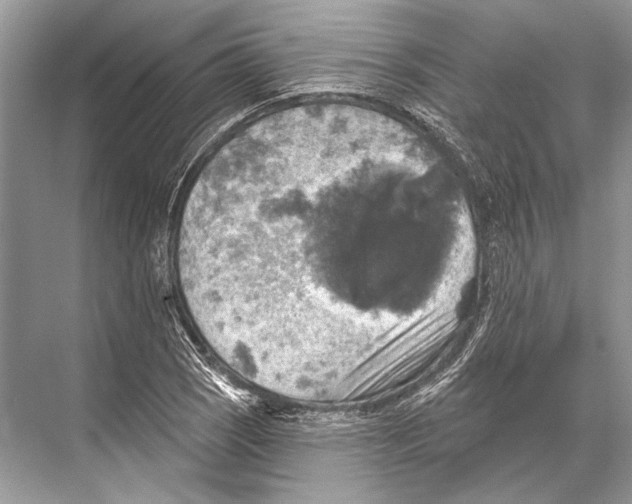 X0000067841121200605041642