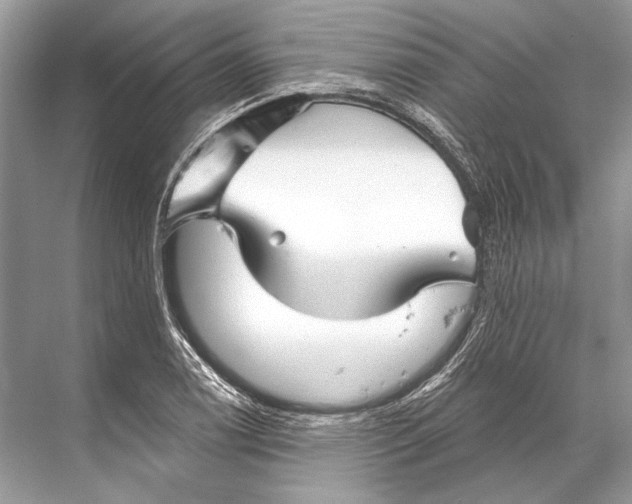 X0000067841122200605041642