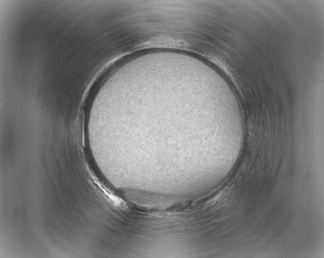 X0000067841123200605041642