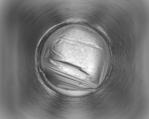 X0000067841124200605041642