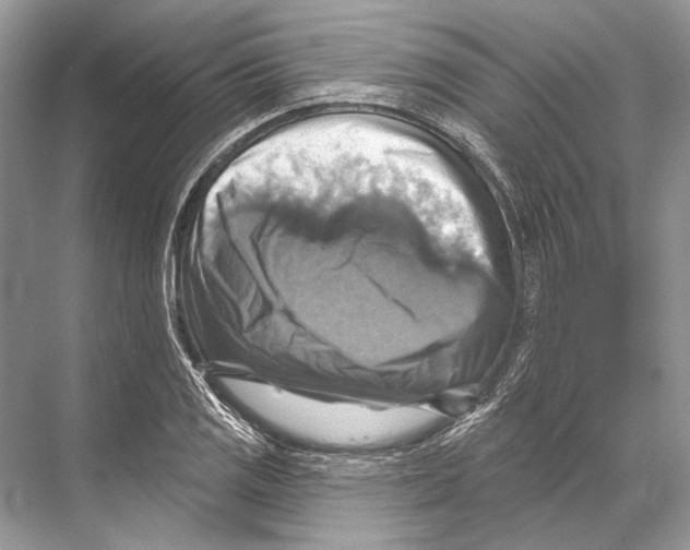 X0000067841125200605041642