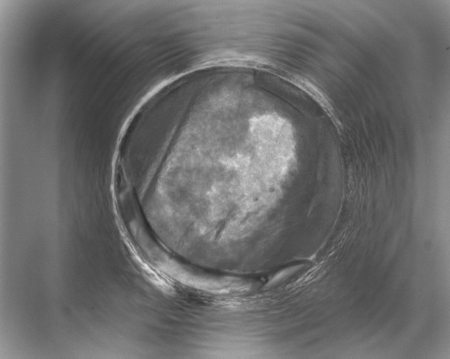 X0000067841128200605041642