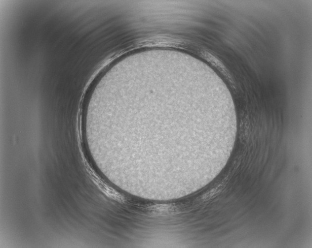 X0000067841130200605041642