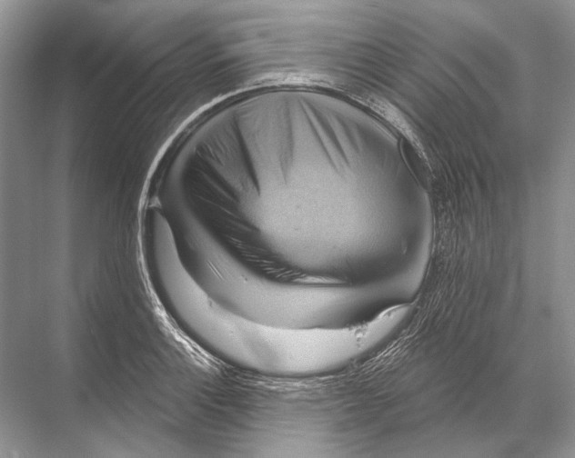 X0000067841132200605041642