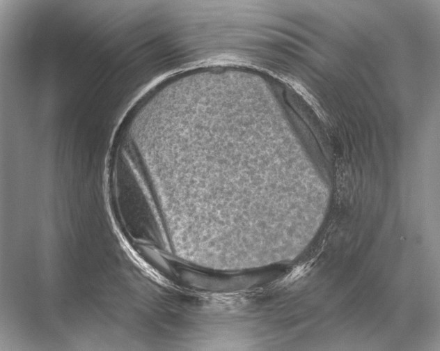 X0000067841134200605041642