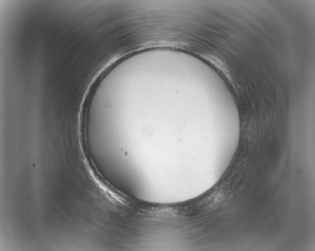 X0000067841135200605041642