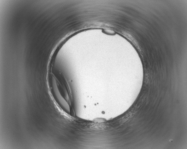 X0000067841136200605041642