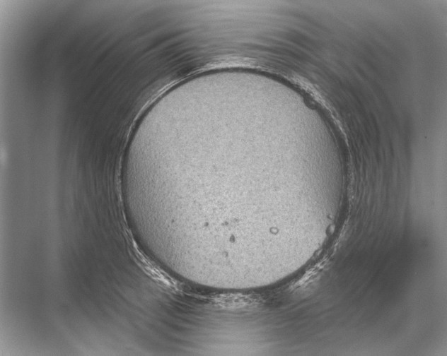 X0000067841137200605041642