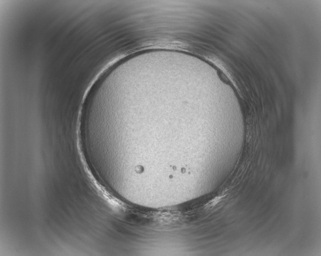 X0000067841139200605041642