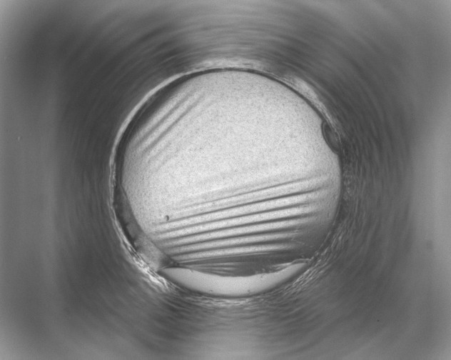 X0000067841140200605041642